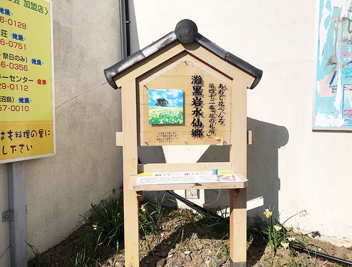 淡路島 灘黒岩水仙卿 あわじ花へんろ