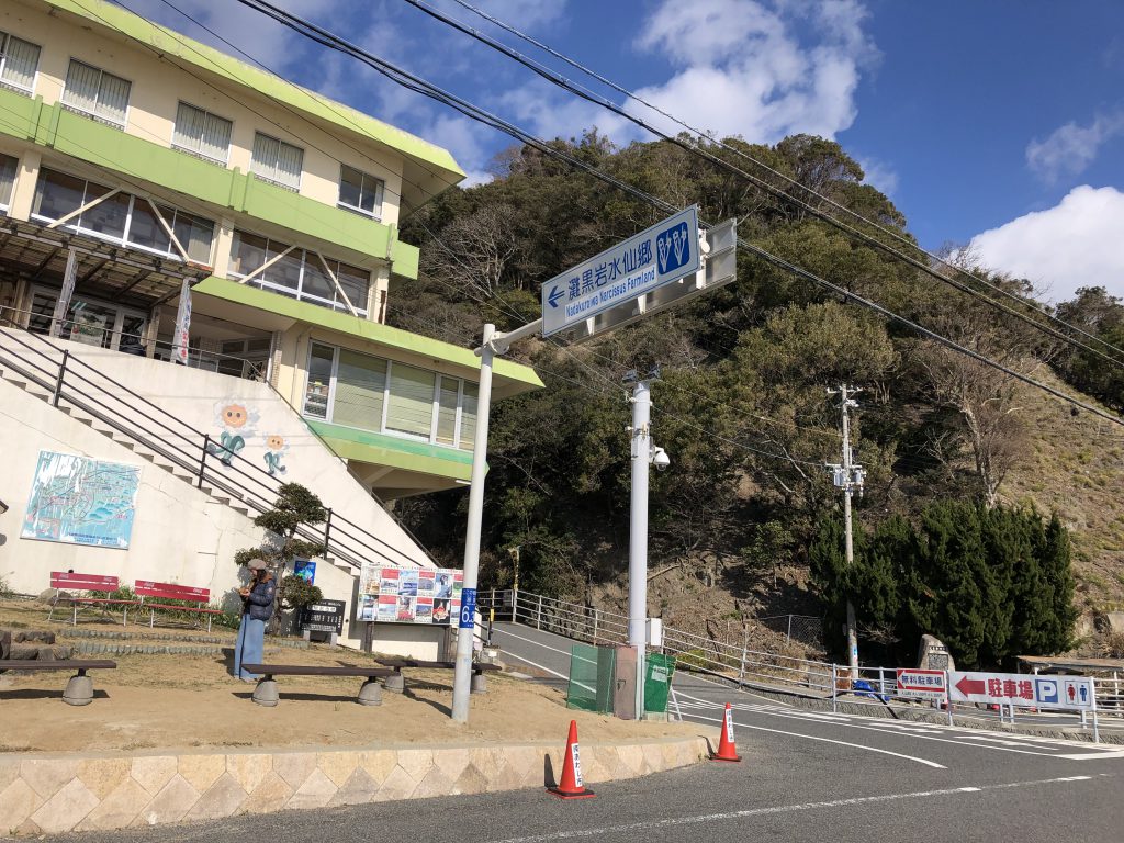 淡路島 灘黒岩水仙卿