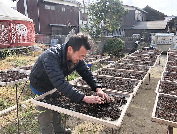 ゲストハウス花野 ひじきを干すケイスケくん