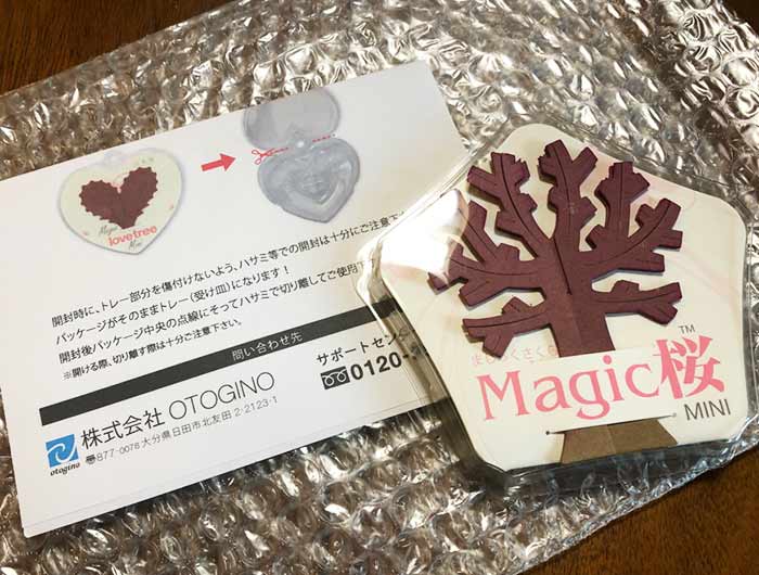 マジック桜 満開になりました 成長過程も撮影してみたよ