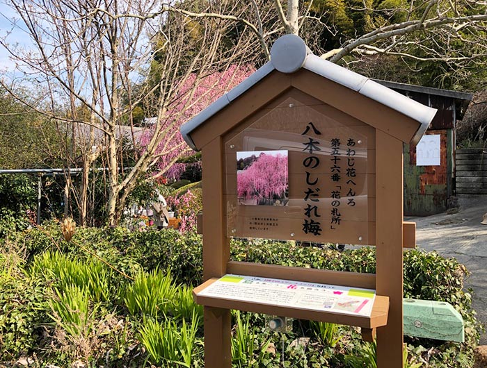 あわじ花へんろ　第五十六番 淡路島