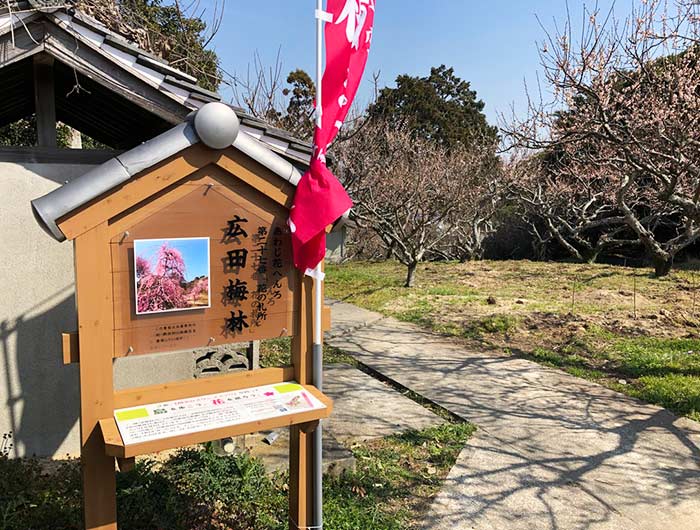 あわじ花へんろ 花の札所 第27番 広田梅林