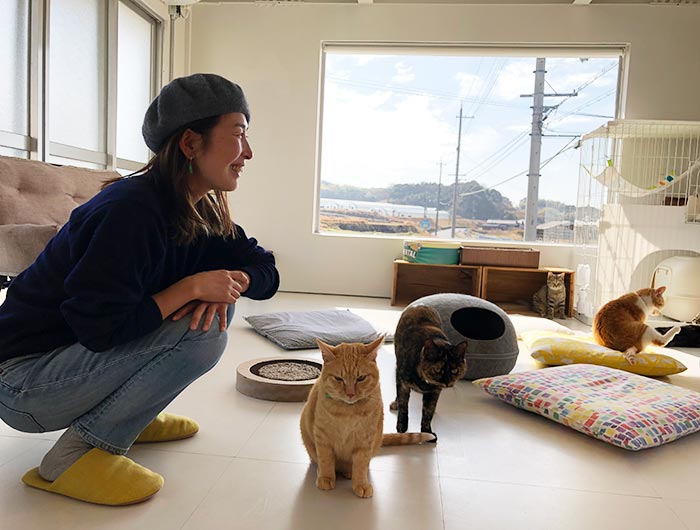 淡路島の猫カフェ toneko 店内（2F）の様子