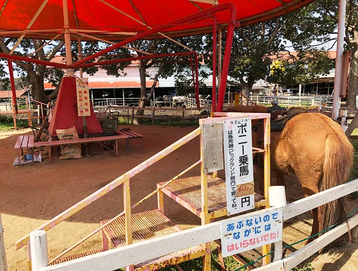 淡路島牧場のポニー乗馬