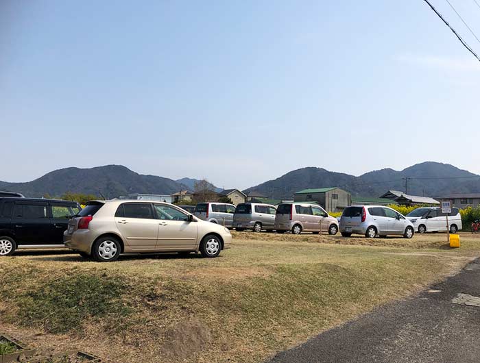 大野菜の花迷路の駐車場