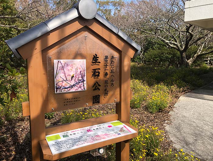 淡路島 生石公園 あわじ花さじき