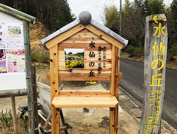 淡路島 水仙の丘 あわじ花へんろ