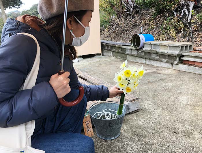 淡路島 水仙の丘 水仙の丘で購入した水仙