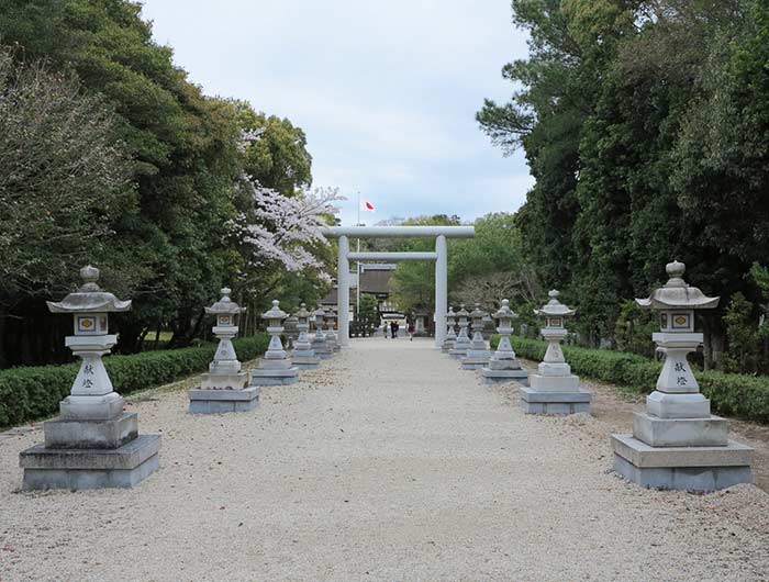 伊奘諾神宮の桜