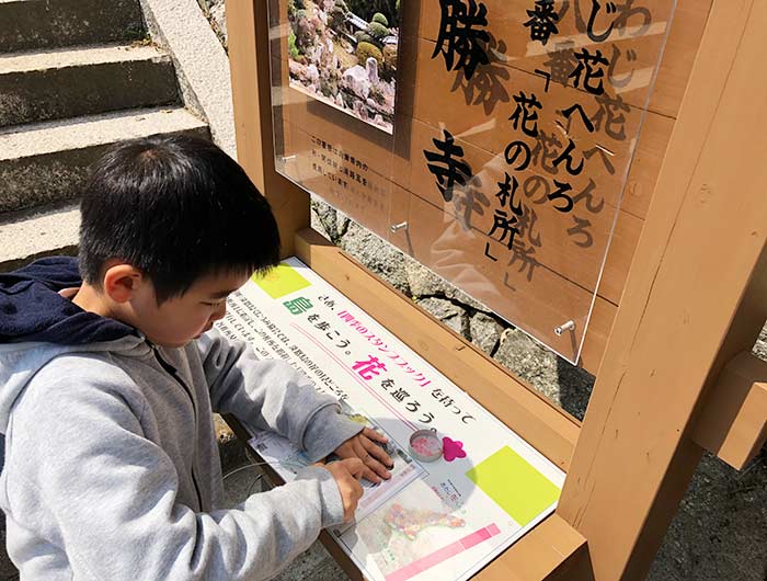 あわじ花へんろ 花の札所 第8番