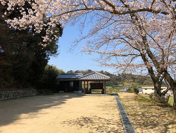 鮎屋の滝の桜