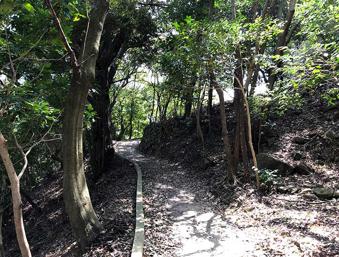 鮎屋の森