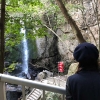 淡路島・鮎屋の滝は蛍だけじゃない。桜も渓谷もいい感じだよ〜🌸