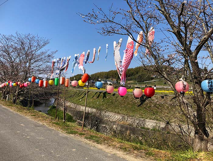 みたから公園のこいのぼり