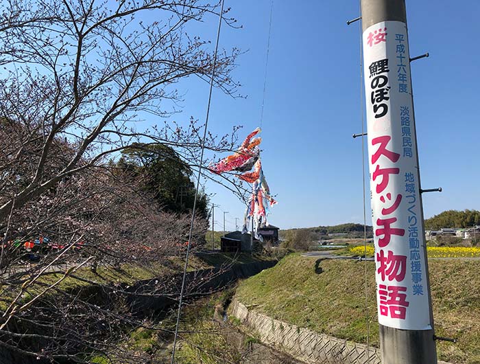 みたから公園の鯉のぼりと桜