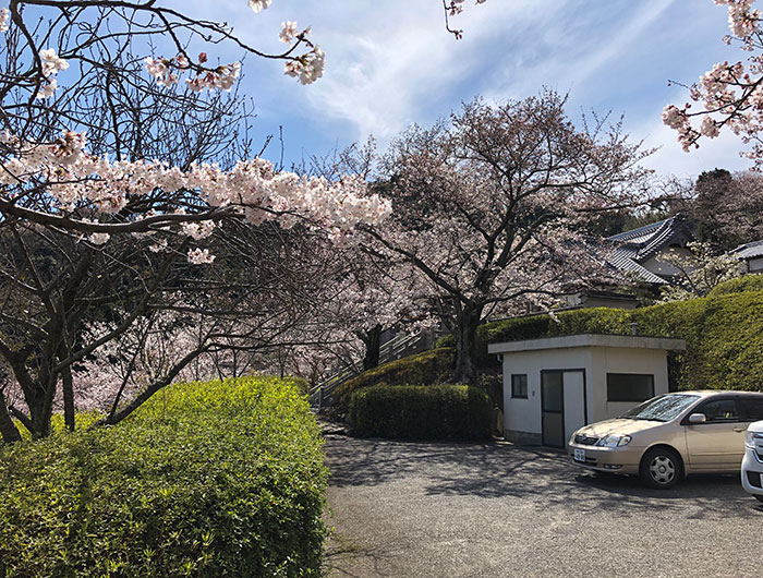 圓城寺の駐車場