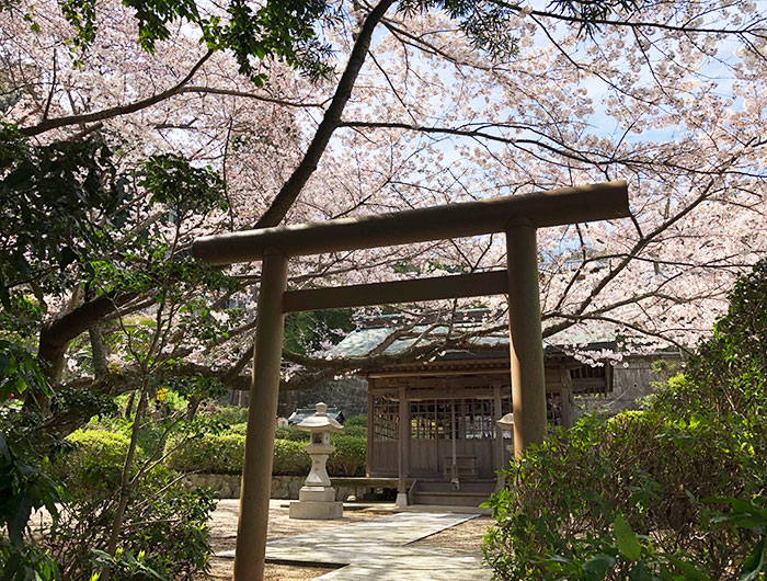 圓城寺の鎮守社