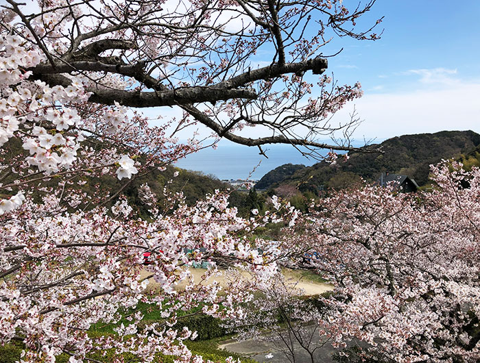 圓城寺からの眺め