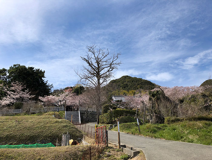 圓城寺