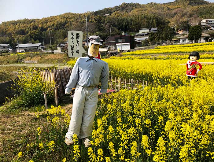 マスオさんかかし