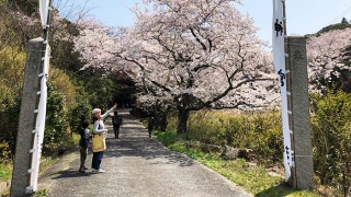 伊勢の森神社