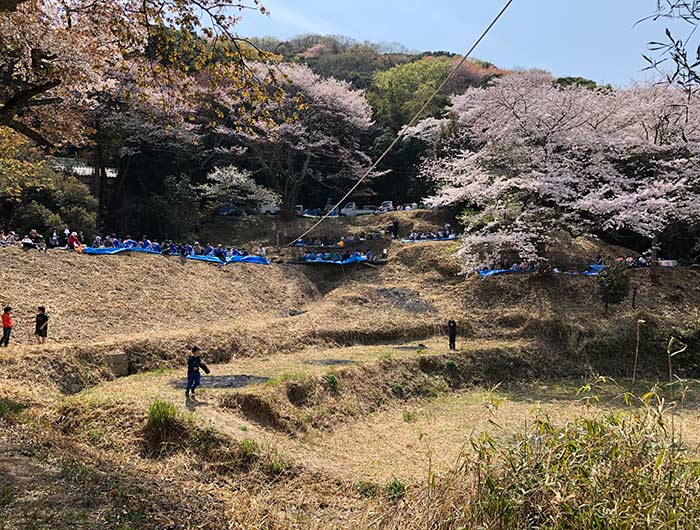 伊勢の森神社のお祭り