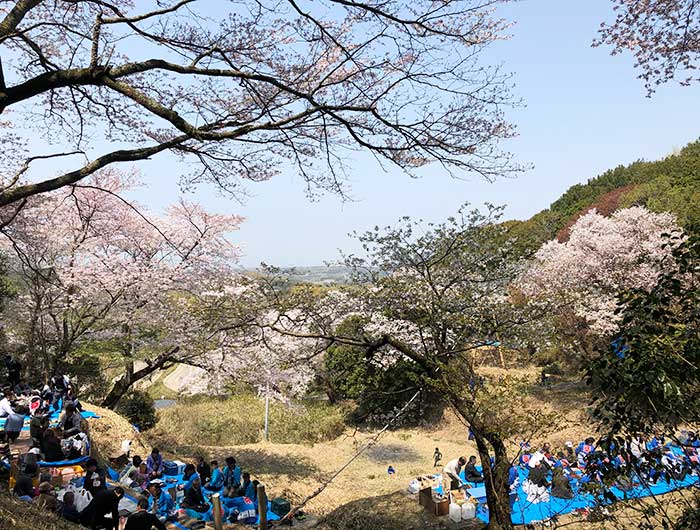 伊勢の森神社