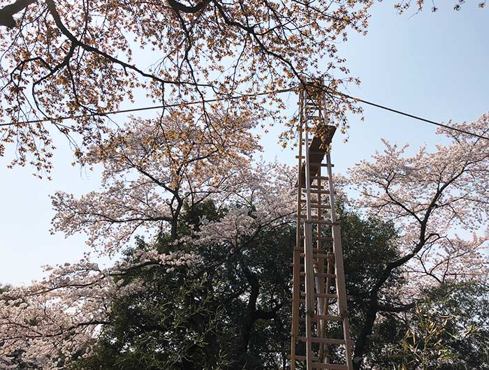 伊勢の森神社