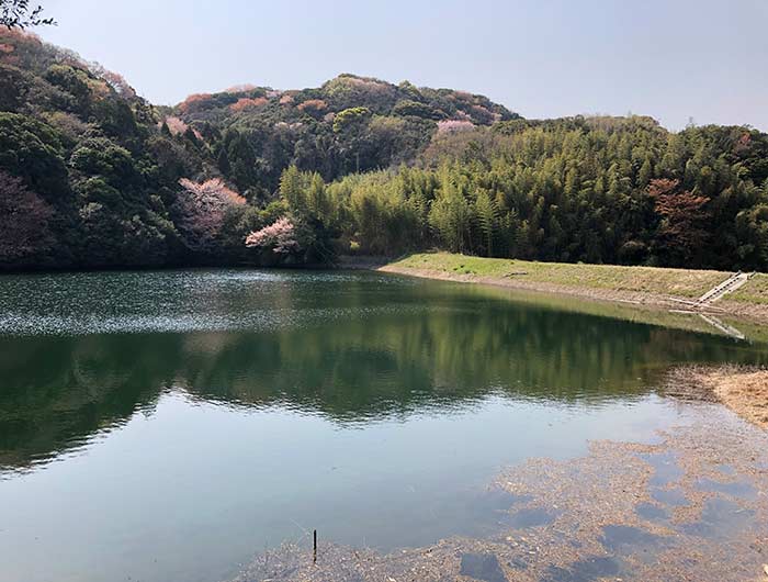 伊勢の森神社の周辺景色