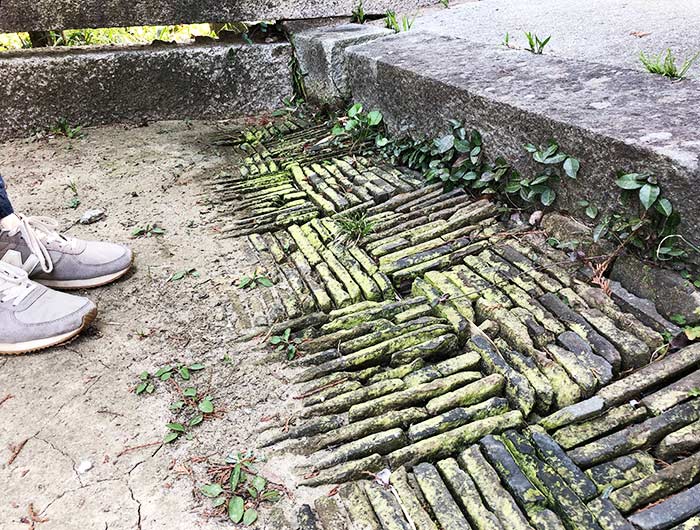 淡路島 蓮花寺