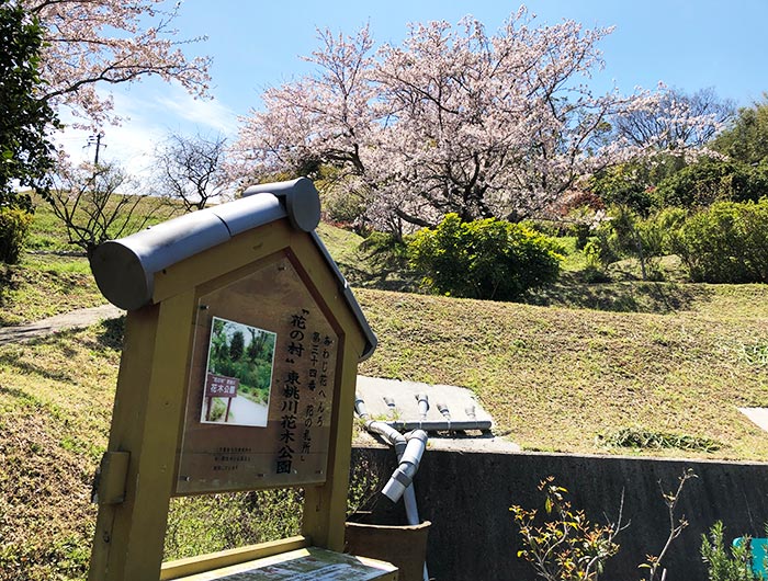 あわじ花へんろ 花の札所 第34番 ”花の村”東桃川花木公園