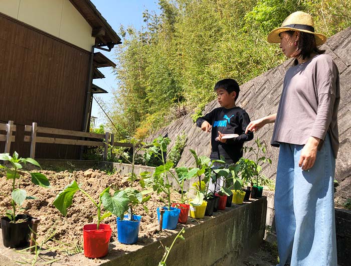 淡路島で家庭菜園3年目