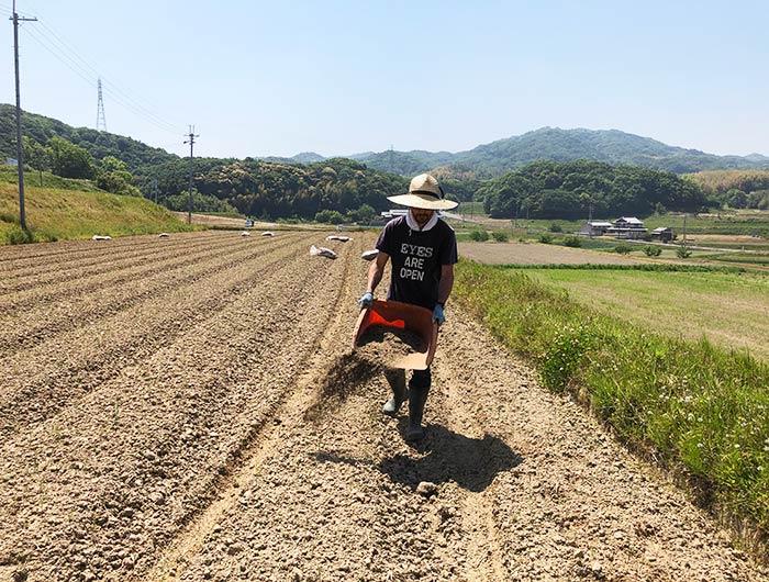 淡路島・鮎原米づくり2019