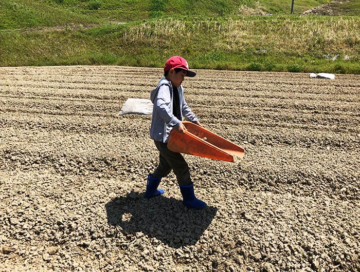 淡路島・鮎原米づくり2019