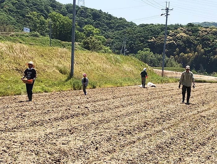 淡路島・鮎原米づくり2019