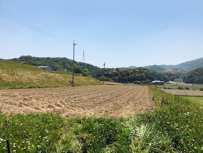 淡路島・鮎原米づくり2019