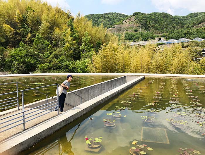 本福寺水御堂　蓮池