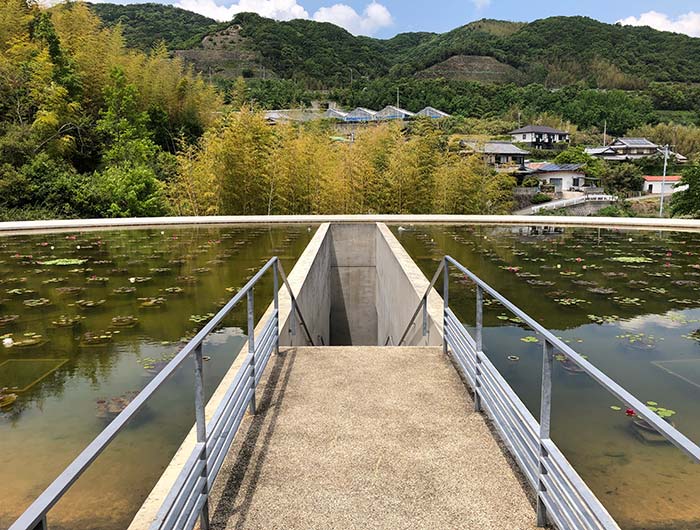 本福寺水御堂　蓮池