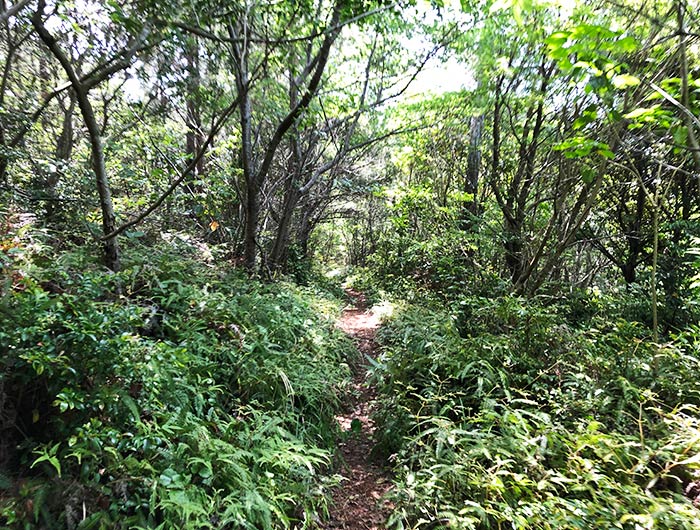 沼島 神体山