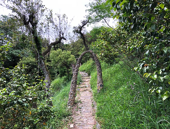 アート山大石可久也美術館 遊歩道