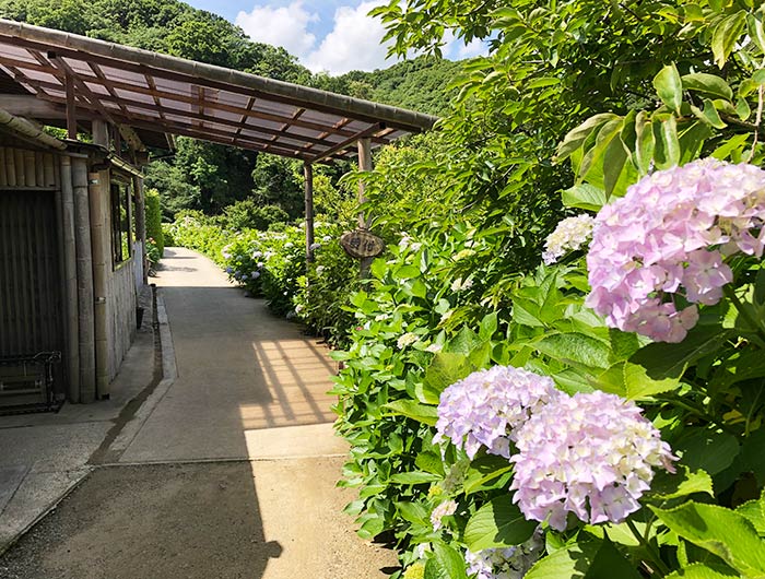 あわじ花山水 園内の様子