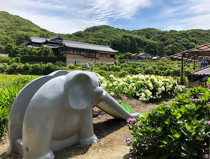 あわじ花山水 園内の様子