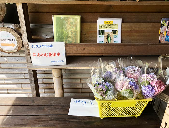 あわじ花山水 切り花販売