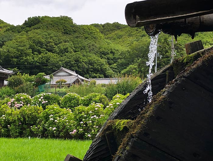 あわじ花山水 水車