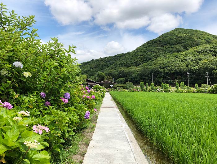 あわじ花山水 園内の様子