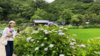 あわじ花山水