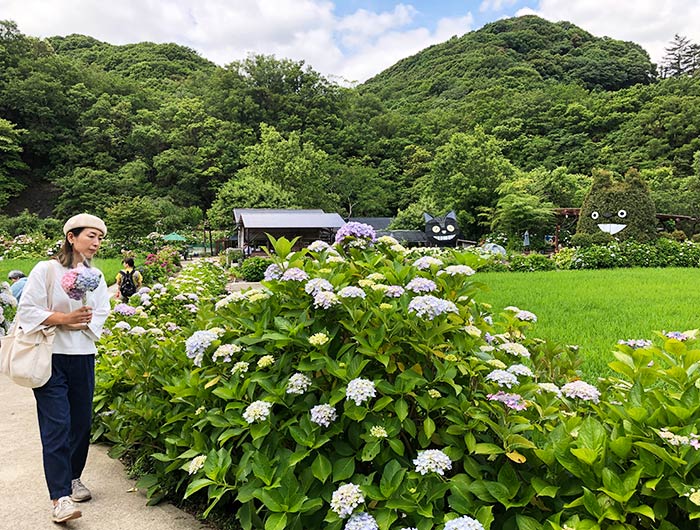 あわじ花山水