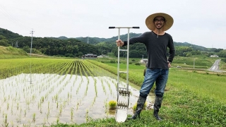 淡路島 米作り