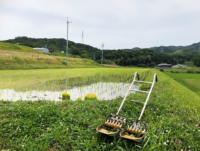 田車