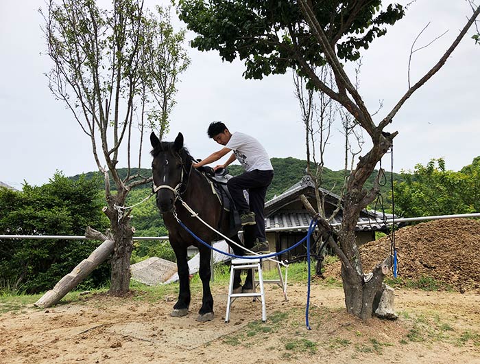 シェアホースアイランド 乗馬体験の様子